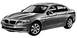 BMW F10 P377D Fault Code